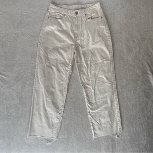 BLANKNYC Baxter size 29 Ribcage Straight Leg | Women's Off White Denim